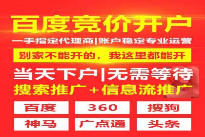 初探SEM推广代运营的多种成功模式